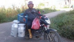 वैदेशिक रोजगारीपछि पशुपालन, मासिक रु दुई लाख आम्दानी गर्दै नोमबहादुर